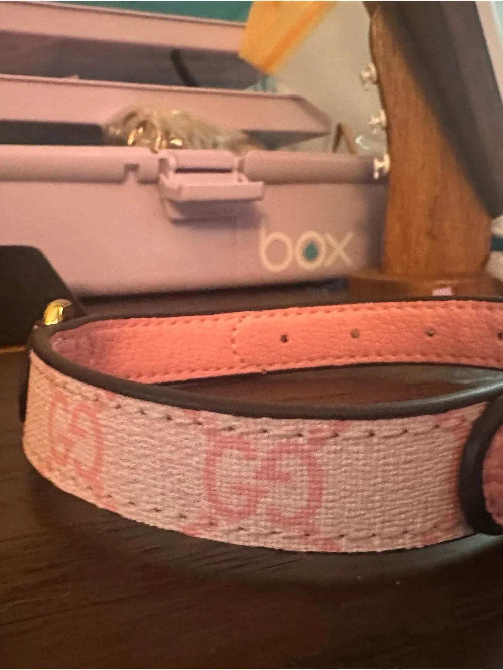 GG Pink Leather Logo Dog Collar with Gold Hardware 16’ long